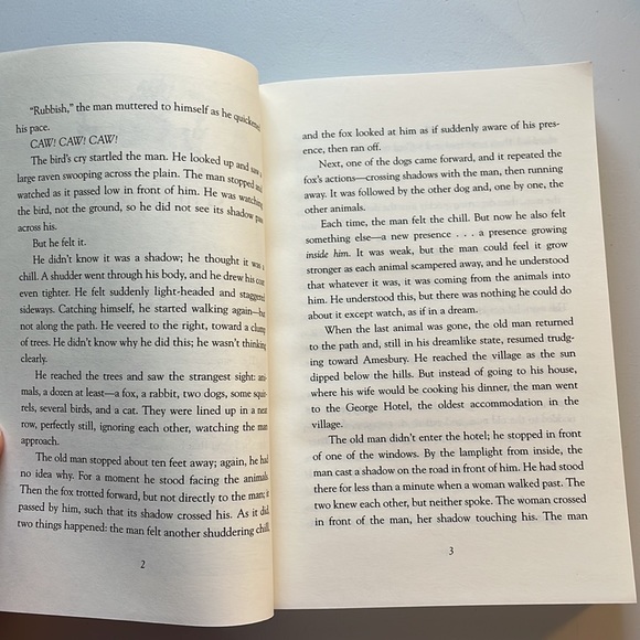 📚2/$6  Peter and the Secret of Rundoon #3 in Series - Picture 9 of 12